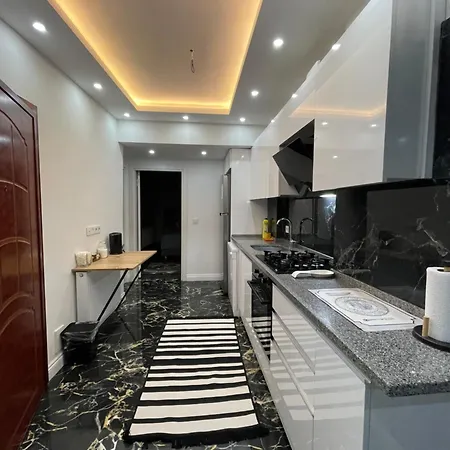 In The Heart Of The Apartment *